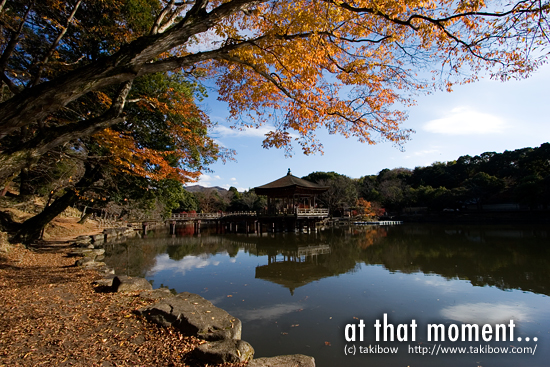 紅葉 with 浮見堂