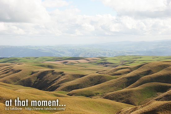 ニュージーランド