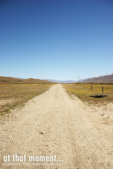 Falls Dam への路（New Zealand）