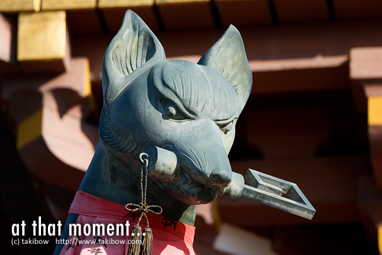 びゃっこさん @ 伏見稲荷大社